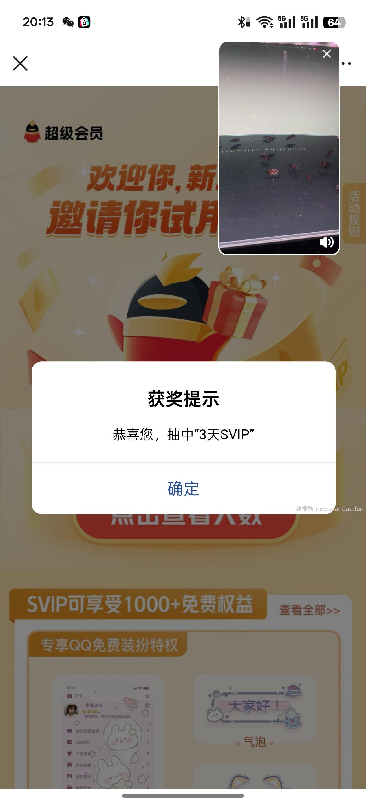 免费领取QQSvip会员，保底一天 - 线报酷
