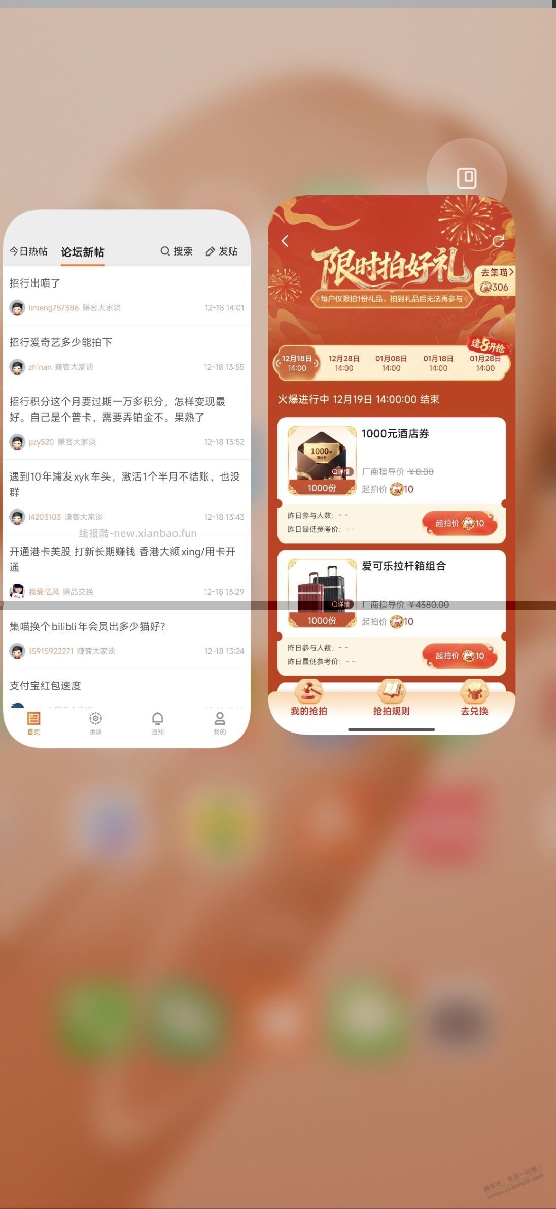 300个喵 如何最大性价比 - 线报酷