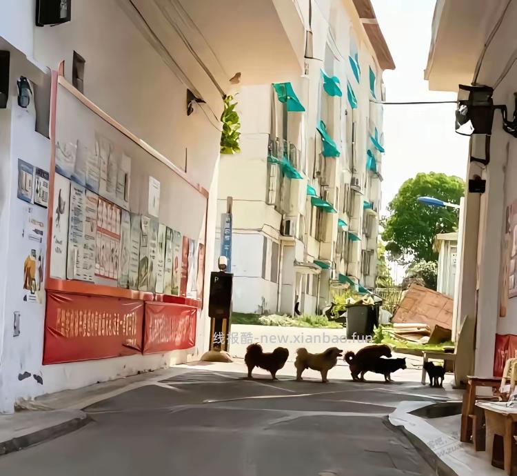 海南封了，果子会崩吗 - 线报酷