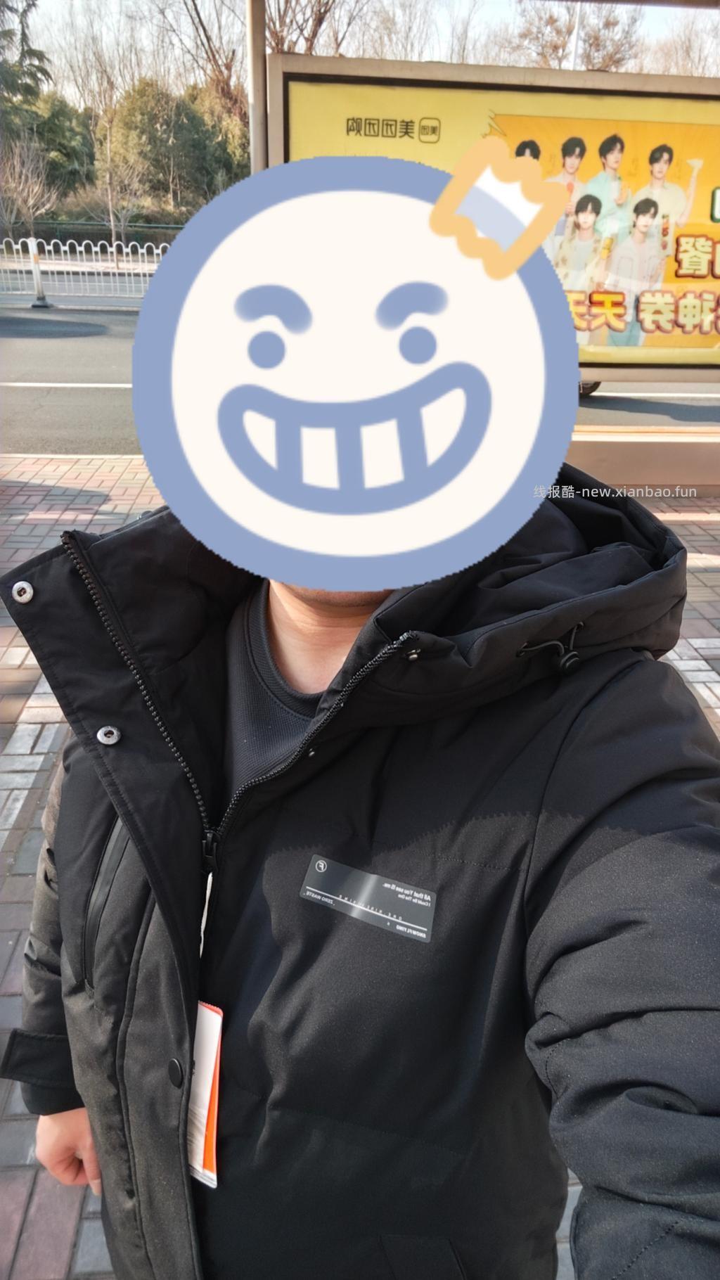 雪中飞到了 - 线报酷