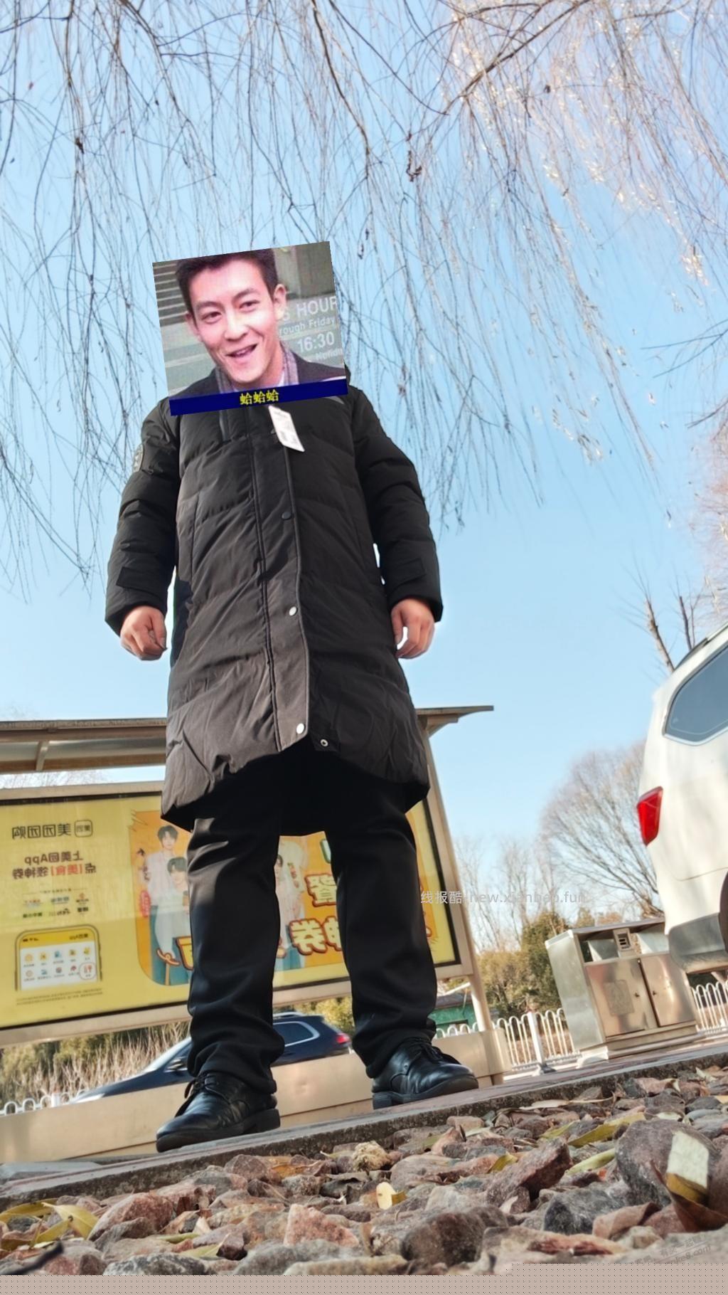 雪中飞到了 - 线报酷