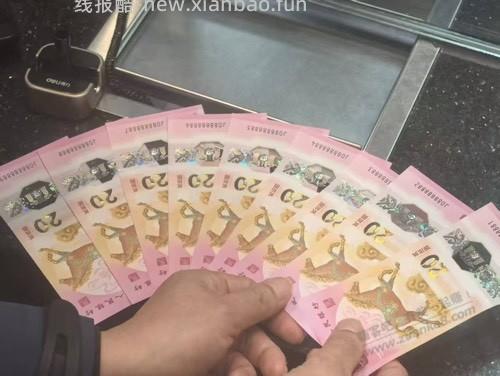 昨天听说马钞通天8被啥大卫垄断了 - 线报酷