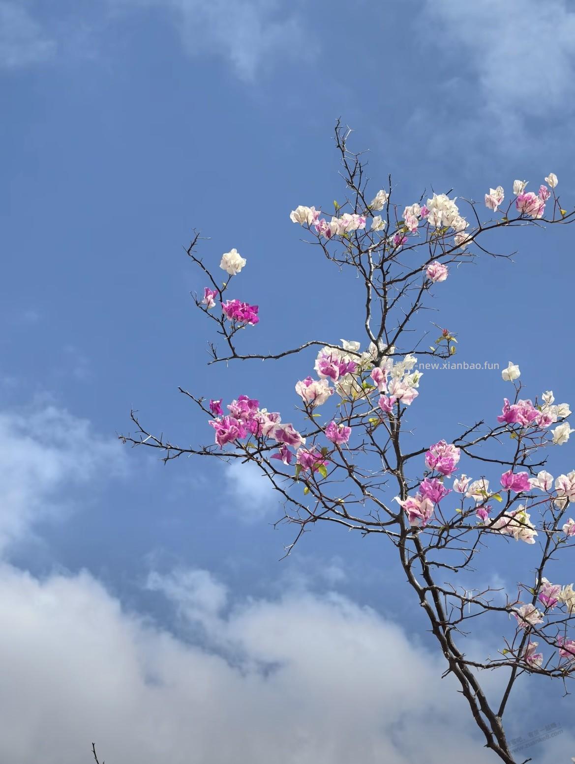 过年回家，对于某些人就是屠宰场 - 线报酷