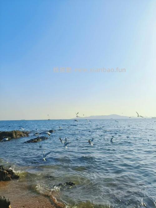 难受啊老哥 - 线报酷