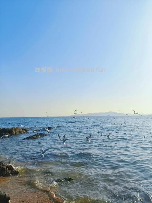 难受啊老哥 - 线报酷