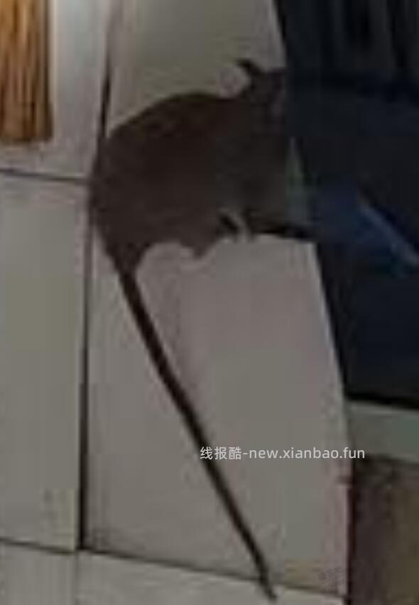 赚吧来找茬 - 线报酷