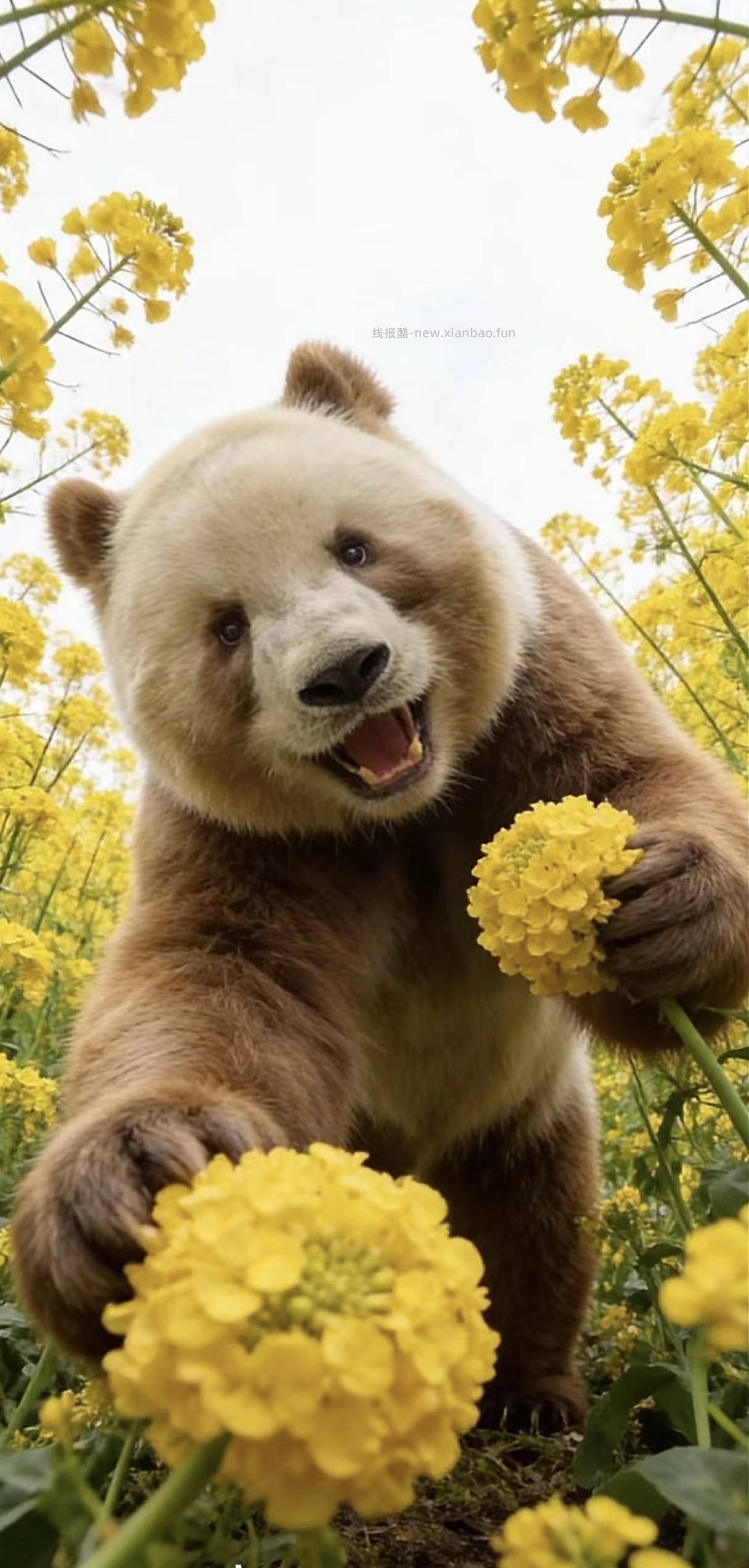 c  麻花疼竟然把vx积分兑，提现券给取消了 - 线报酷