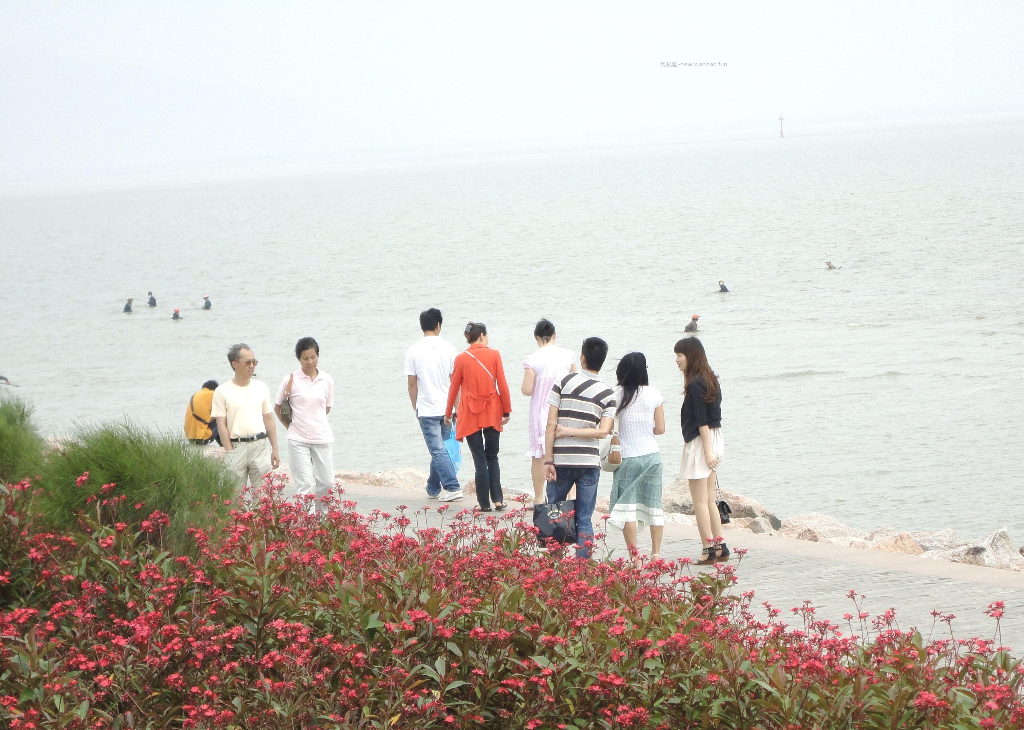 深圳 福田  春日拍照  抽奖小米手环露营车   附实拍 - 线报酷