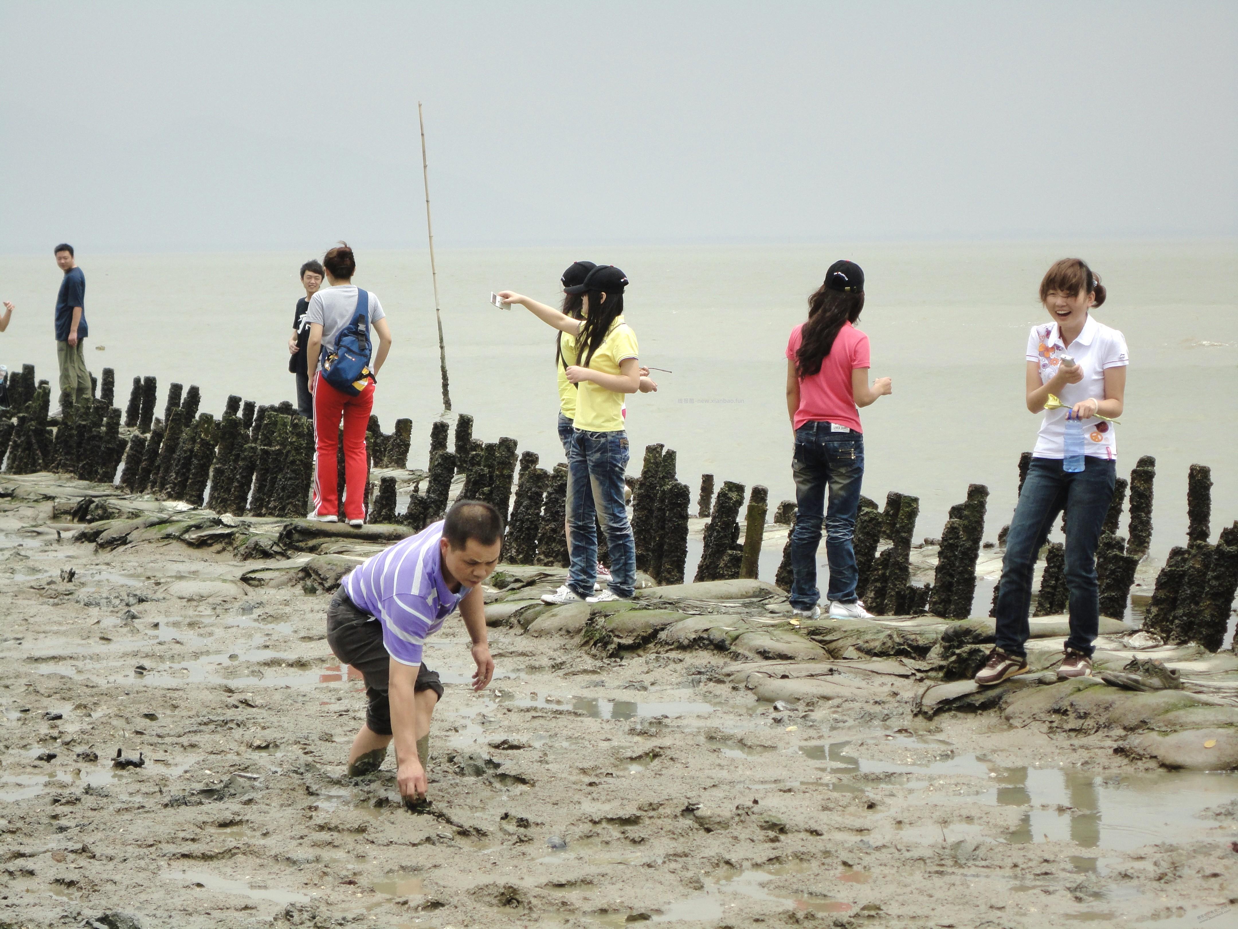 深圳 福田  春日拍照  抽奖小米手环露营车   附实拍 - 线报酷