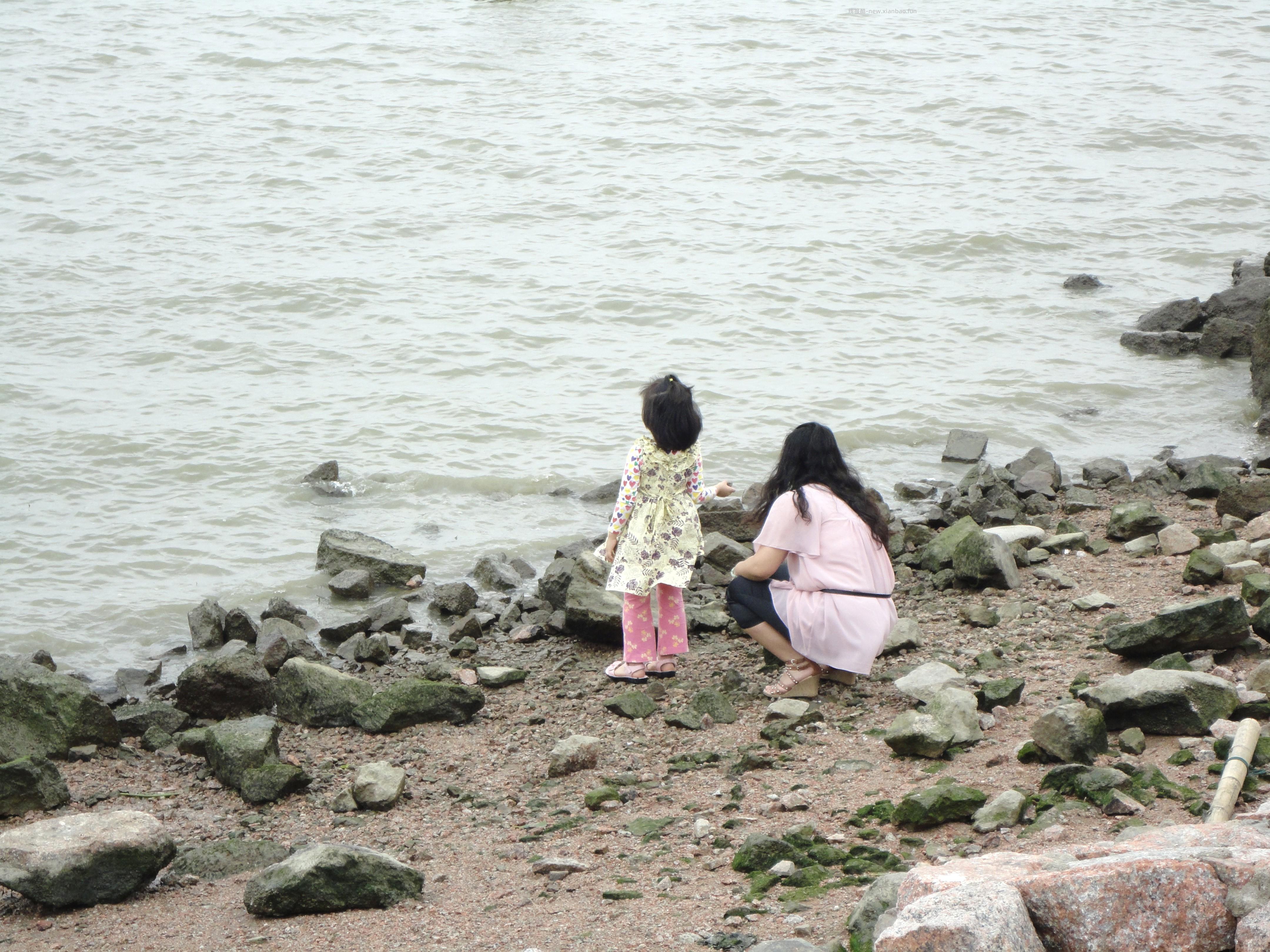 深圳 福田  春日拍照  抽奖小米手环露营车   附实拍 - 线报酷