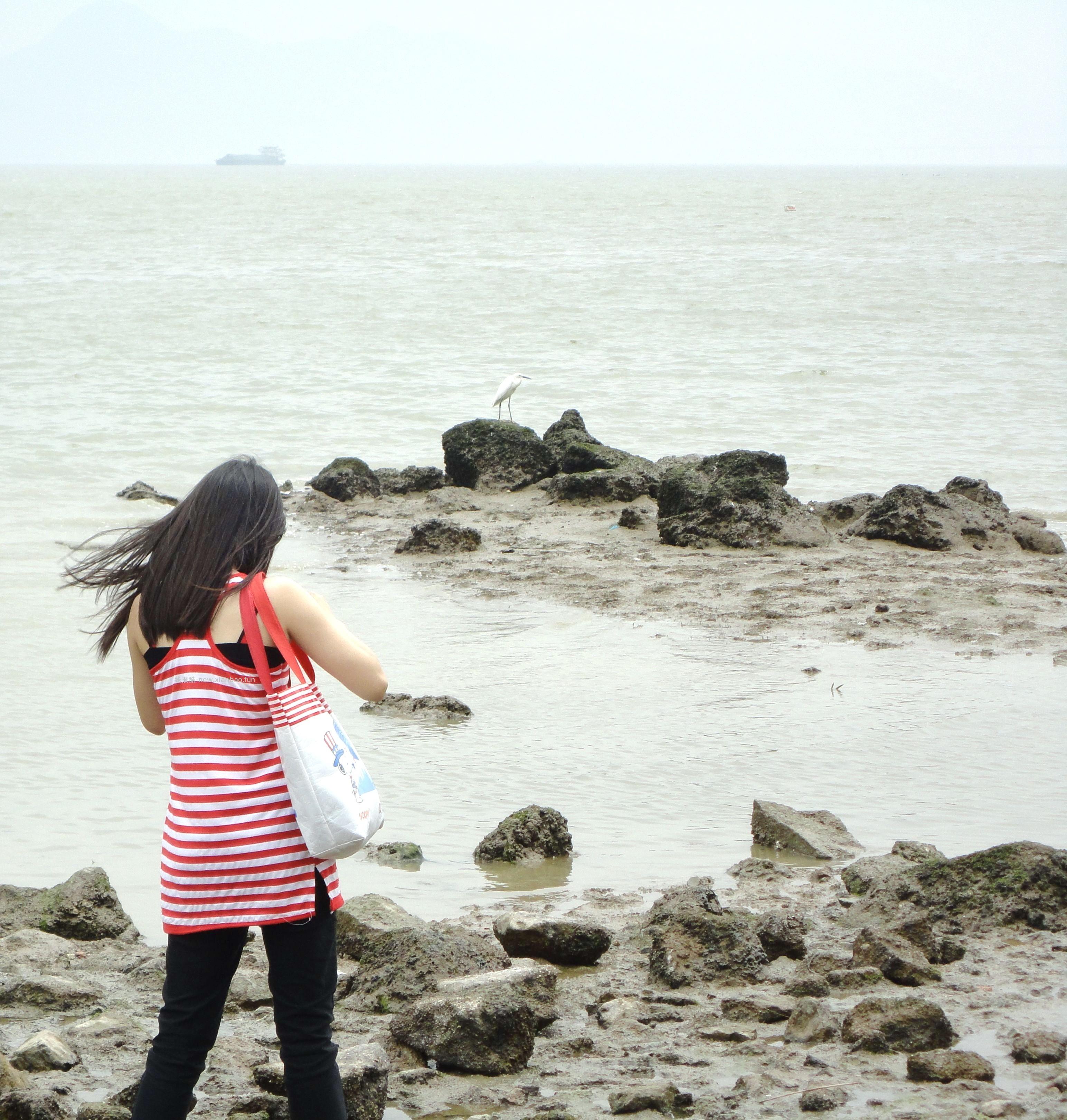 深圳 福田  春日拍照  抽奖小米手环露营车   附实拍 - 线报酷