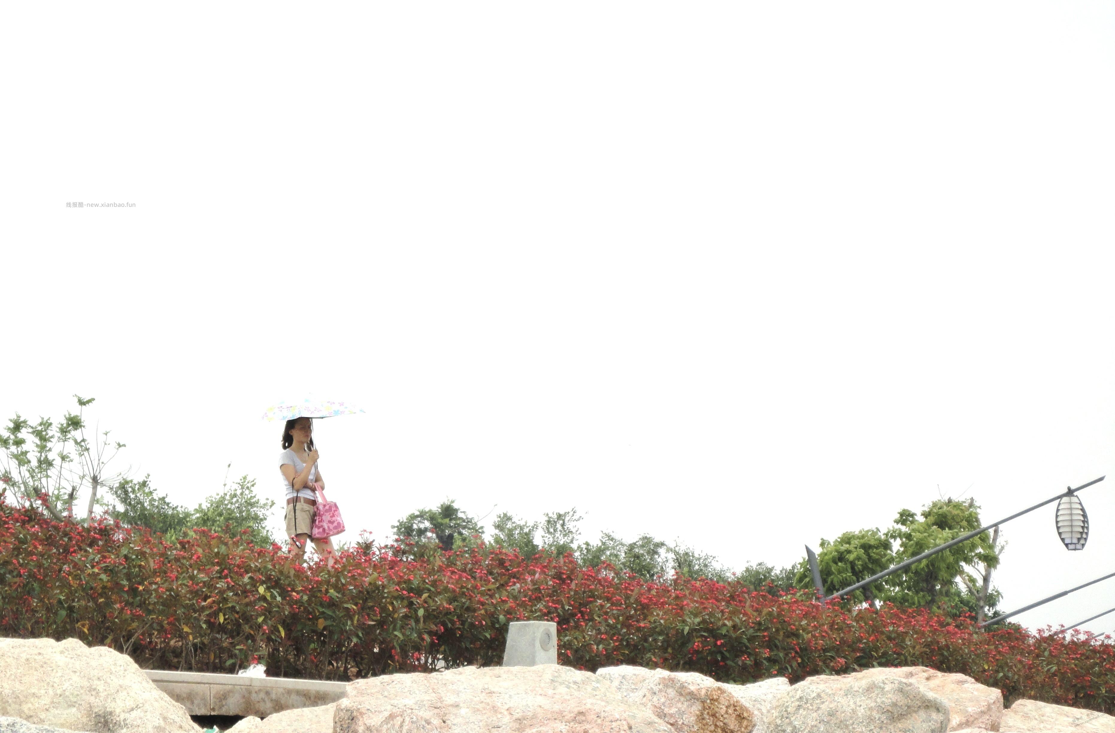 深圳 福田  春日拍照  抽奖小米手环露营车   附实拍 - 线报酷