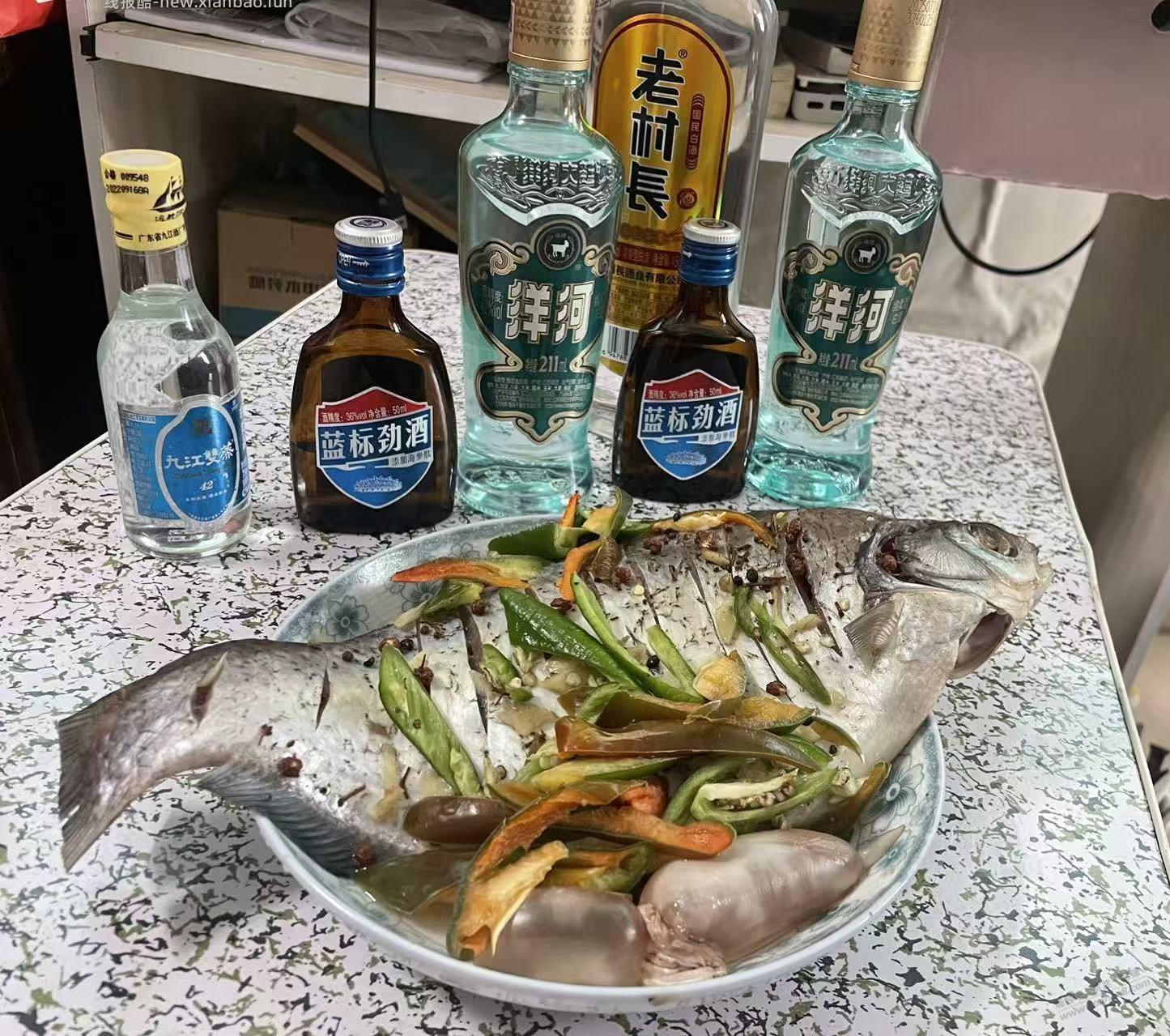 今日菜谱，洋河煮鳊鱼 - 线报酷