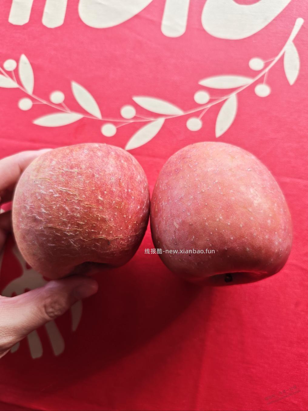 苹果实物图，好吃的里 - 线报酷