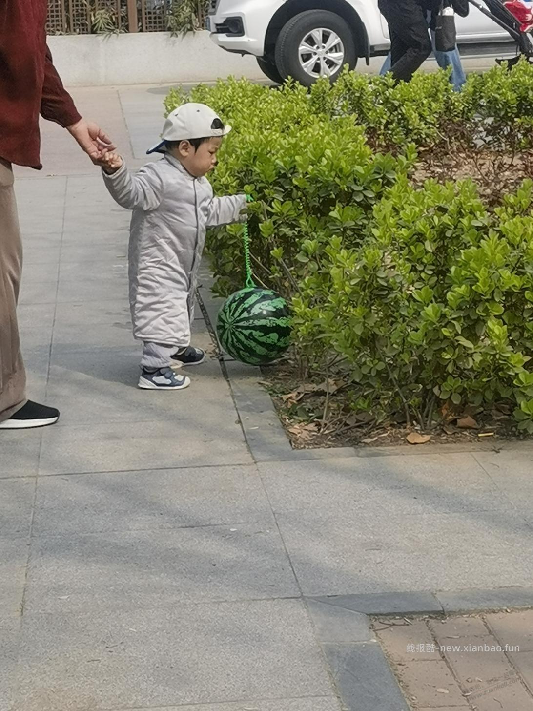 星期天来公园转转也不错 - 线报酷