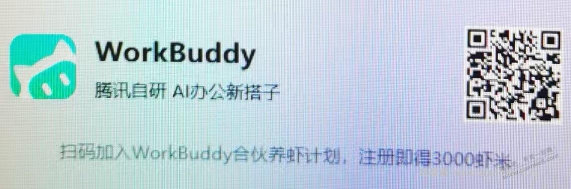 workbuddy有虾毛薅 - 线报酷