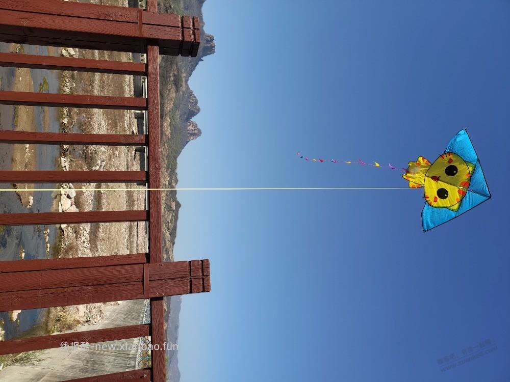 放风筝 - 线报酷