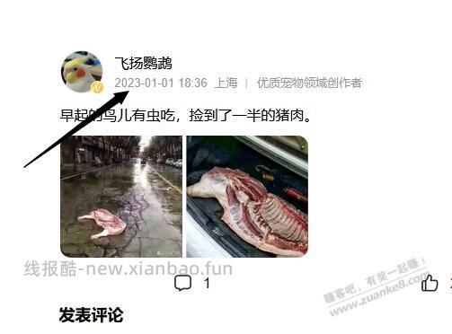 路上的 大毛，捡不捡 ？ - 线报酷