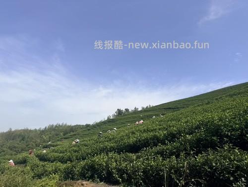 今天徒步途中遇到个奇葩事把我整无语了 - 线报酷