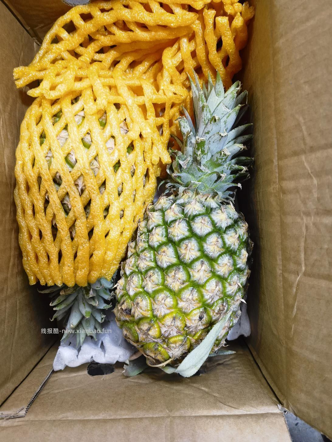 多多这家风梨质量不错 - 线报酷