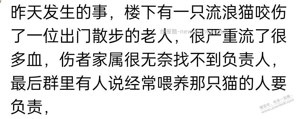现在看到有些人在小区经常投喂流浪猫，你觉得是做好事还是好心办坏事？ - 线报酷