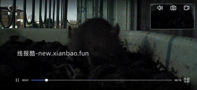 卧槽，竟然是老鼠 - 线报酷