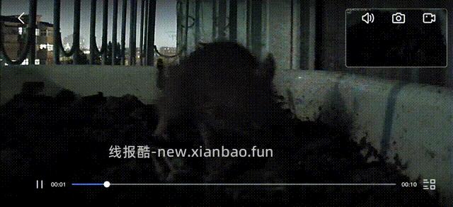 卧槽，竟然是老鼠 - 线报酷