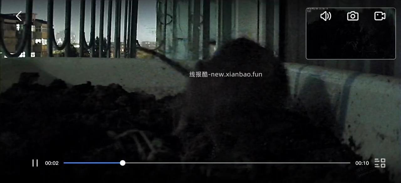 卧槽，竟然是老鼠 - 线报酷