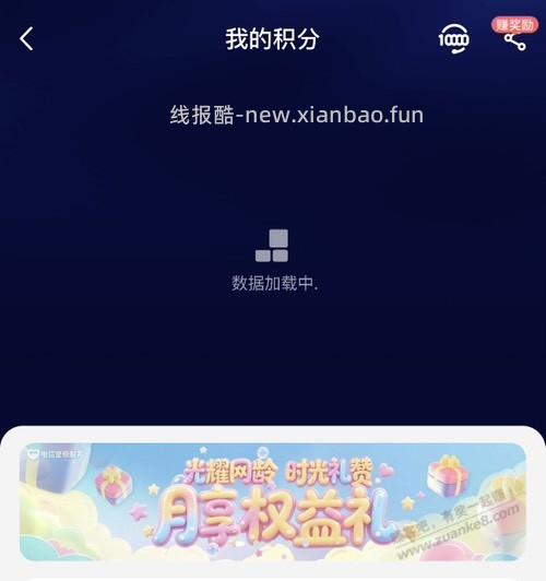 电信大猫