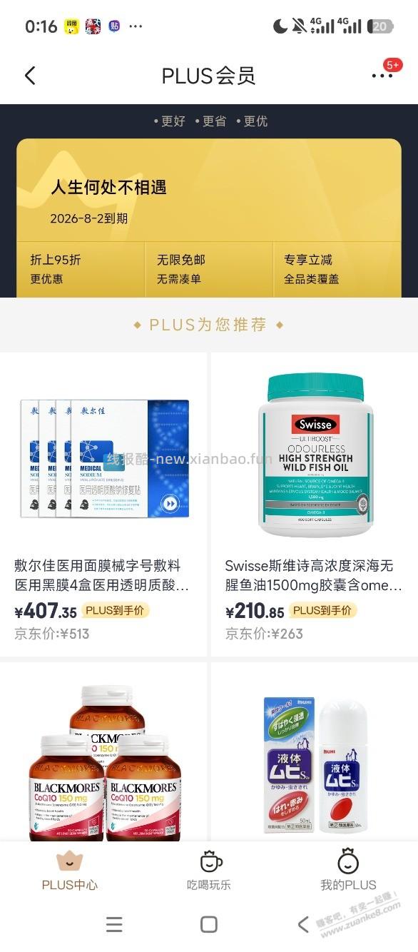 狗东黑号为啥越来越厉害