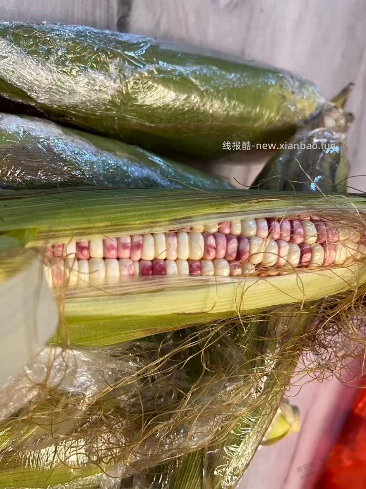 拼多多卖农副产品的，考什么赚钱?有补贴吗？买了五斤玉米非常好，才花0.6元 - 线报酷