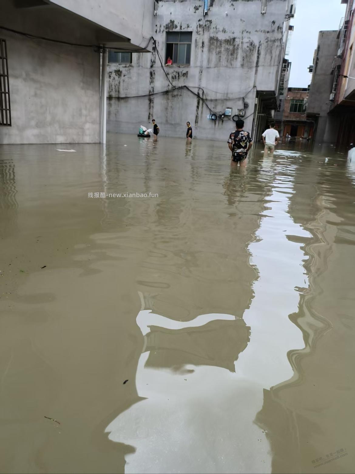 这几天老家发洪水，附近养殖场亏惨了 - 线报酷