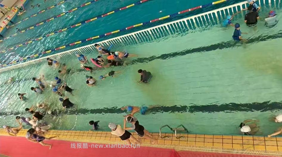 游泳池看到这一幕 天塌了 - 线报酷