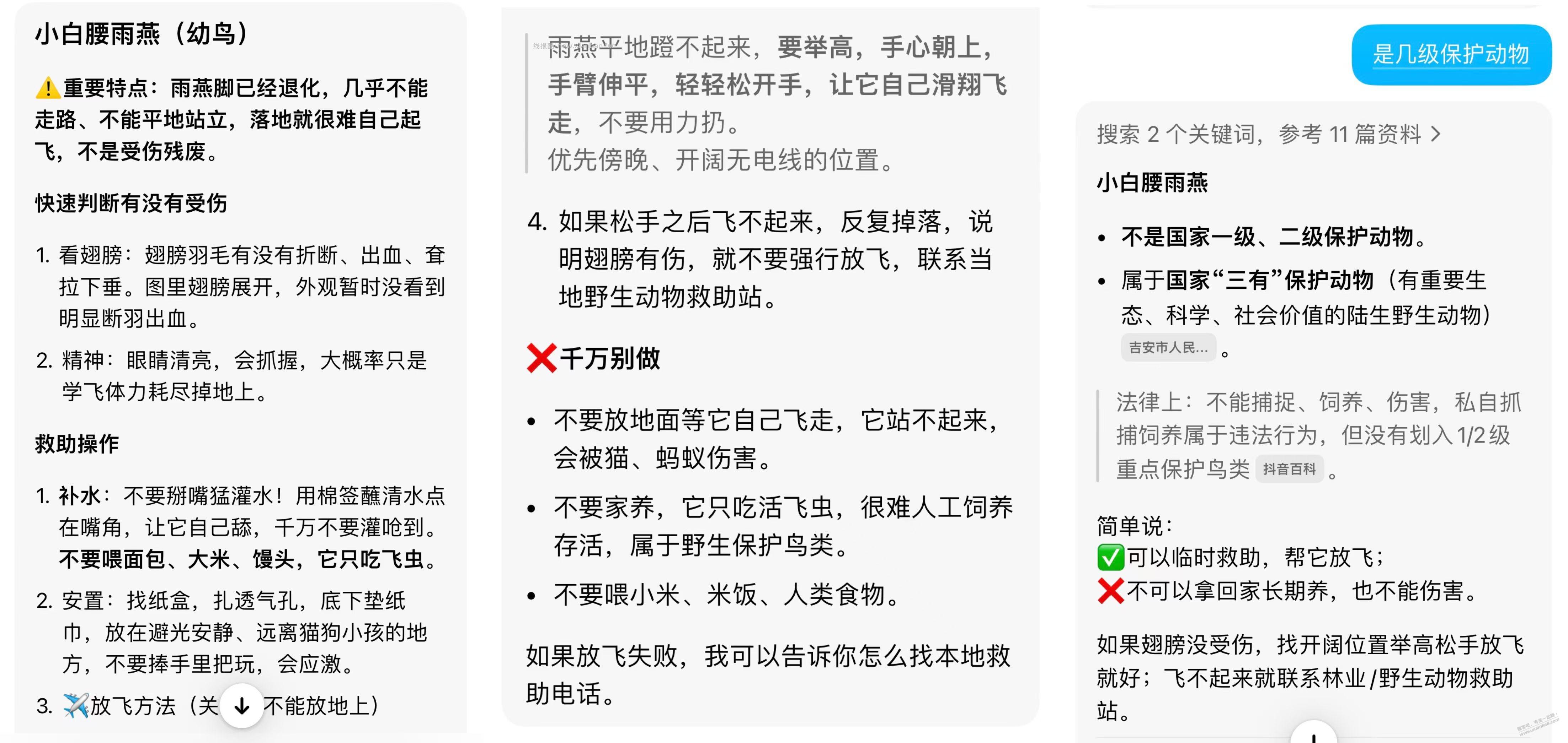 我捡到一只老鹰 - 线报酷