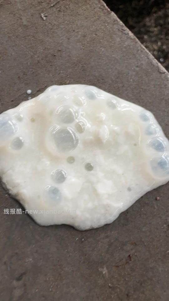 京东超市买的金典牛奶怀疑变质了怎么办？ - 线报酷