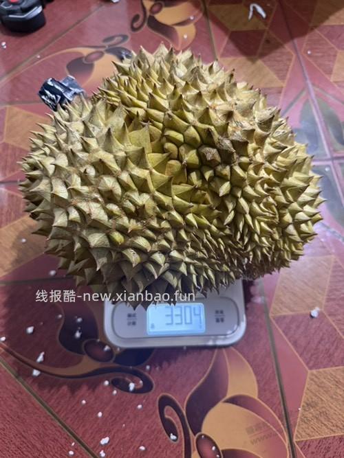前天多多的榴莲昨天到了 - 线报酷