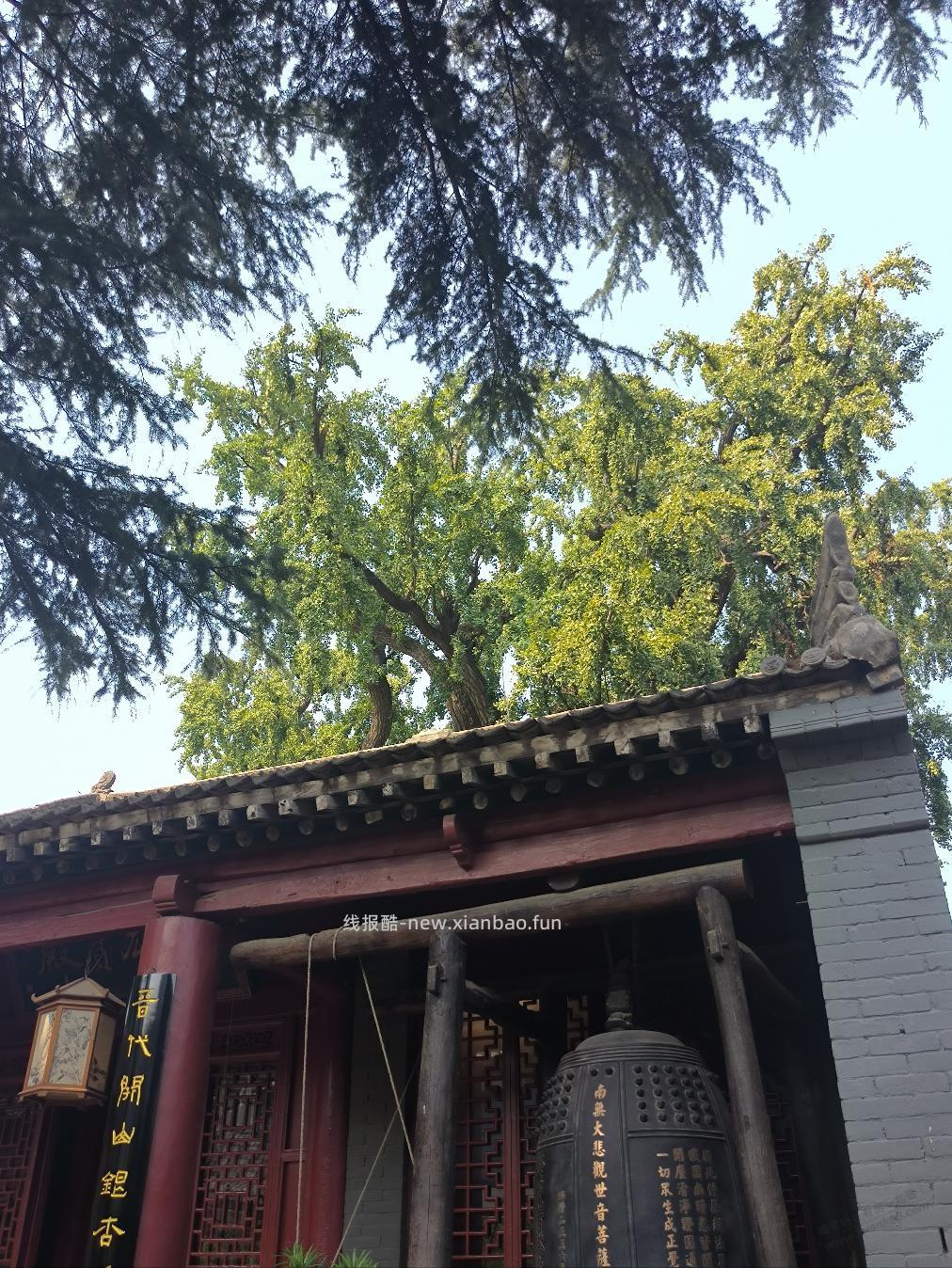 梦游 - 线报酷