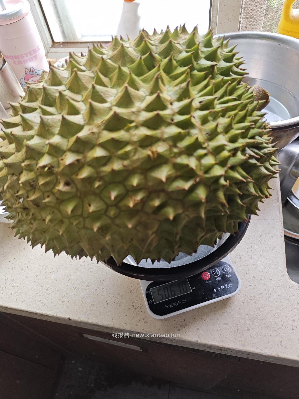 拼多多榴莲很给力啊 - 清风线报