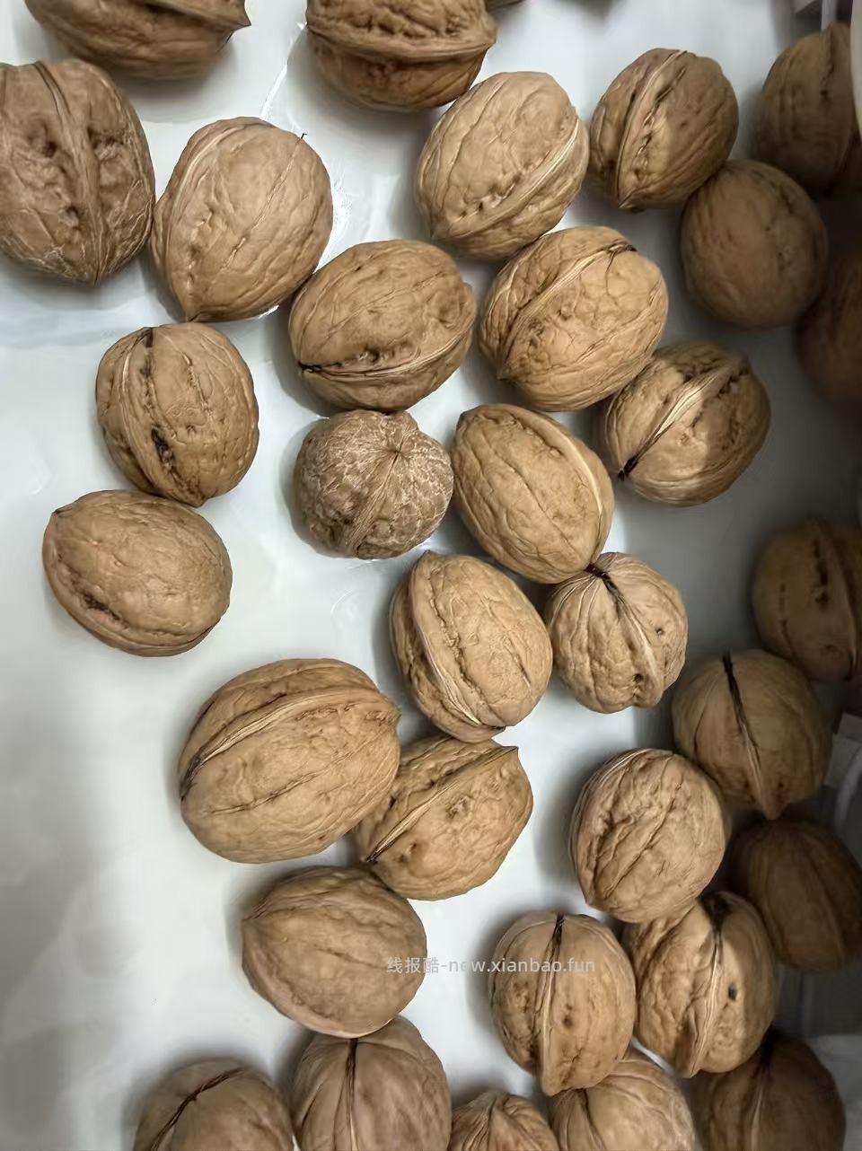 怎么把新鲜核桃保存到过年？ - 线报酷