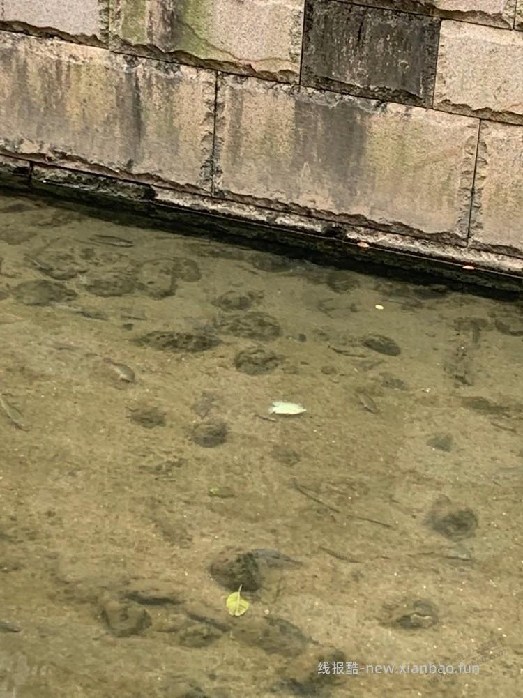 开着透视钓鱼是不是难度更大阿 - 线报酷