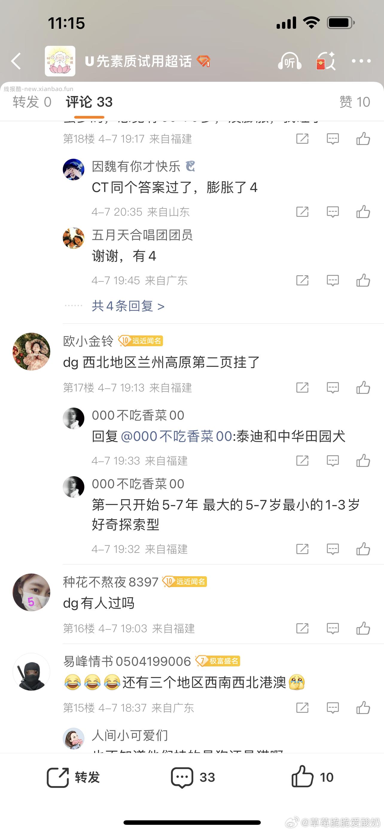 yjwd宠物dg - 线报酷