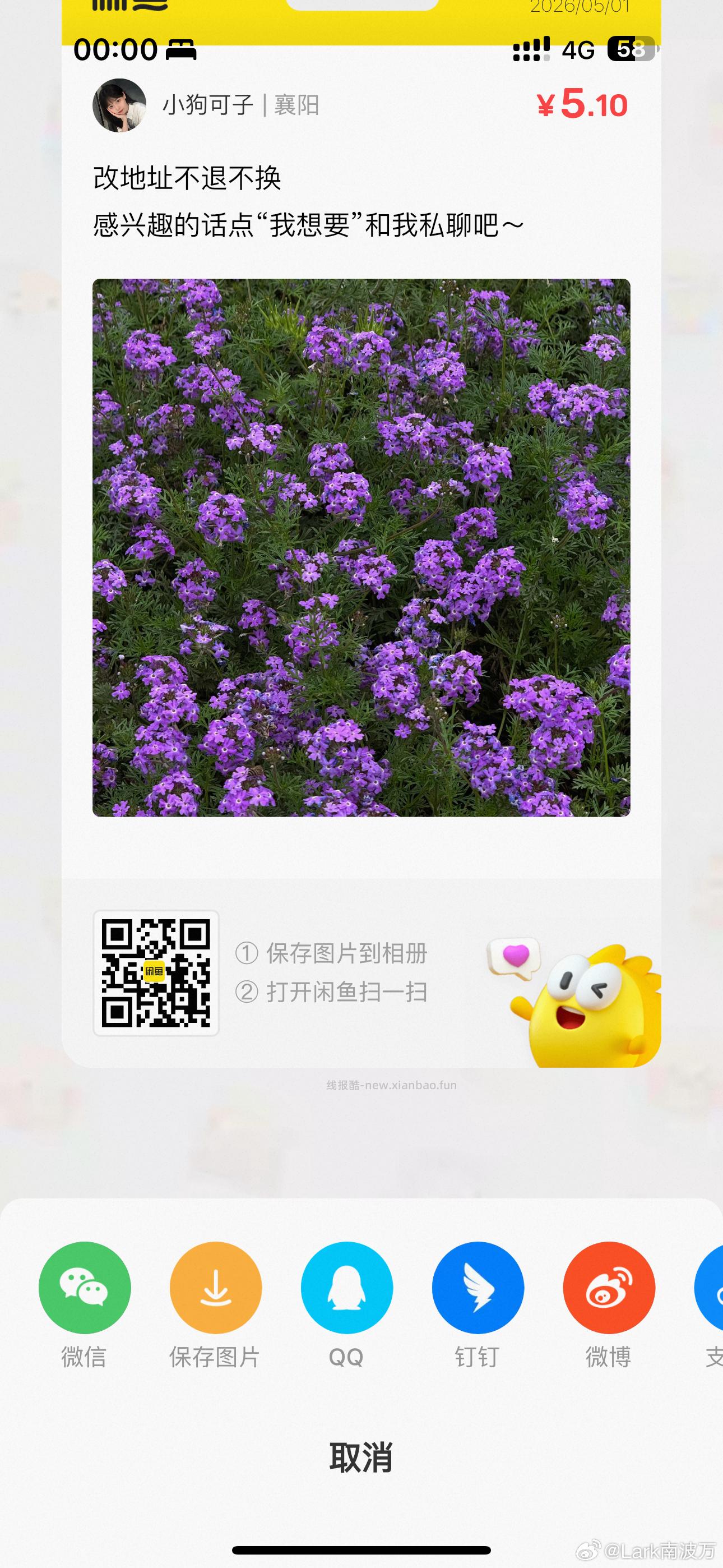 阿里健康 看需 盆底肌紧致胶囊 - 线报酷