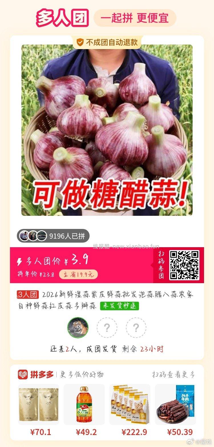 小熊迷你电饭煲1.2L 69.9元 - 线报酷