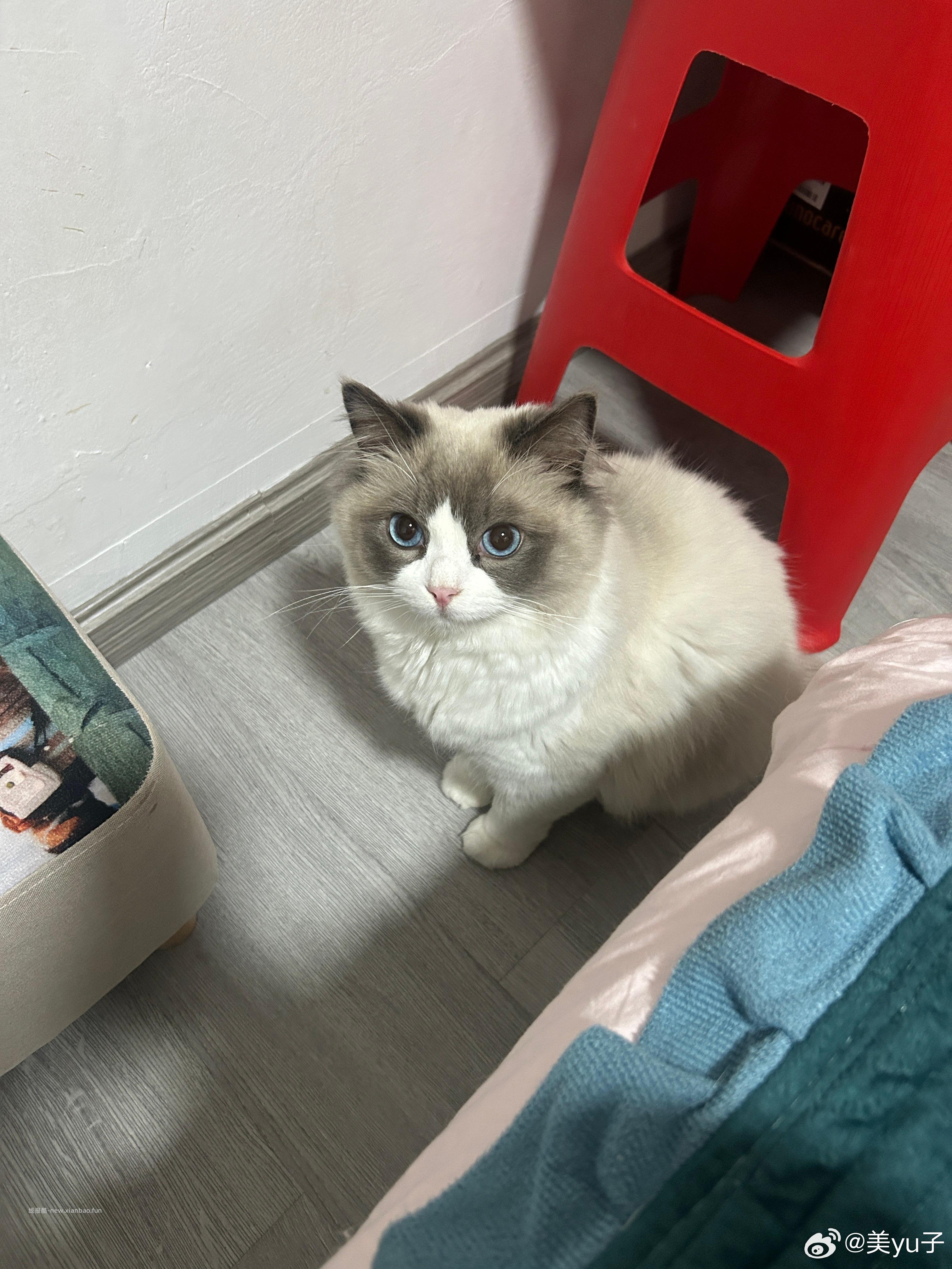 闲聊问答求推荐求zhu来这里 禁恋爱纠纷和线上问诊 2026.4.15号 - 线报酷