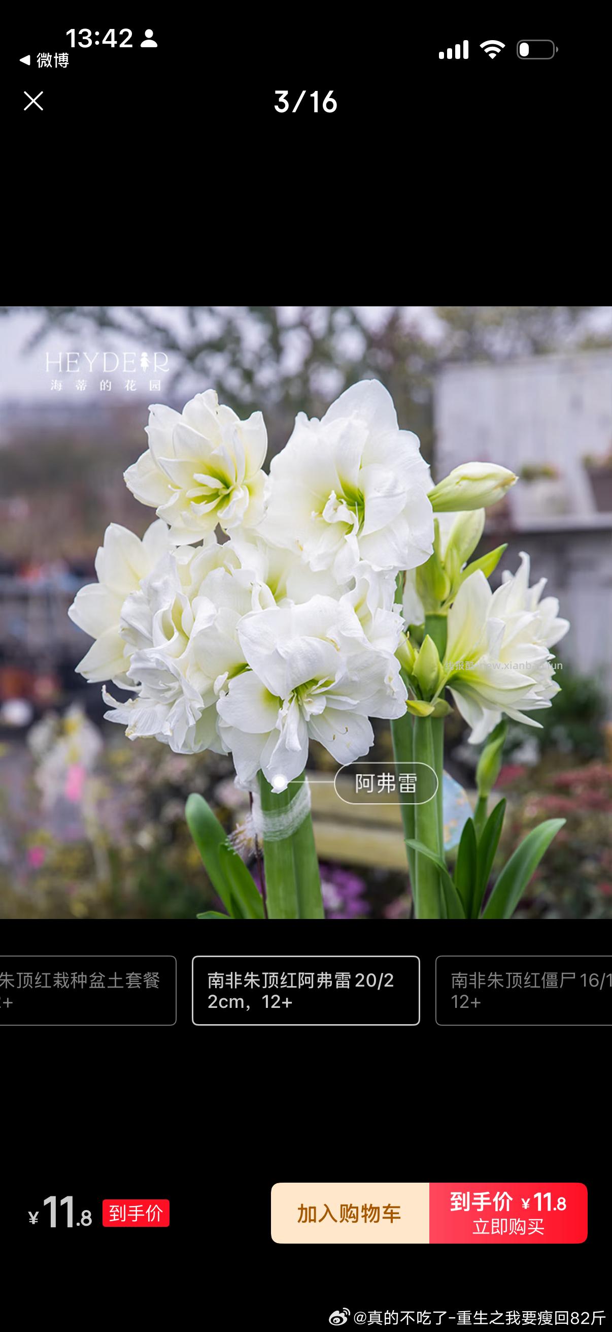 养花不 弹-7券 立减 - 线报酷