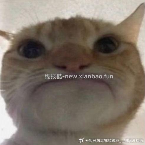 闲聊问答求推荐求zhu来这里 禁恋爱纠纷和线上问诊 2026.4.20号 - 线报酷