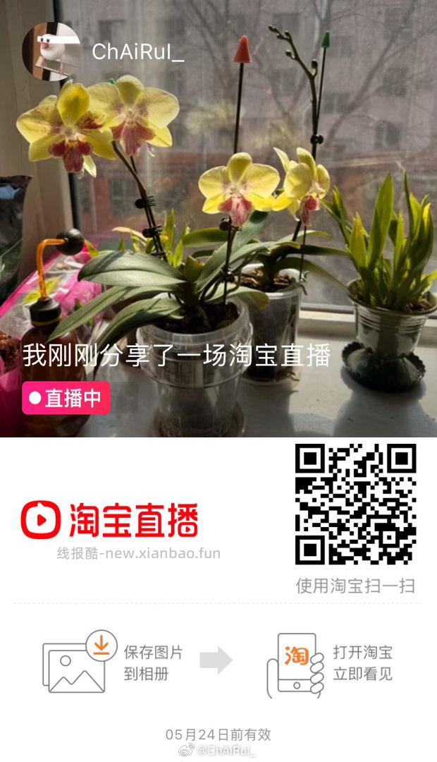 闲着挂半小时直播 成功会点赞 - 线报酷