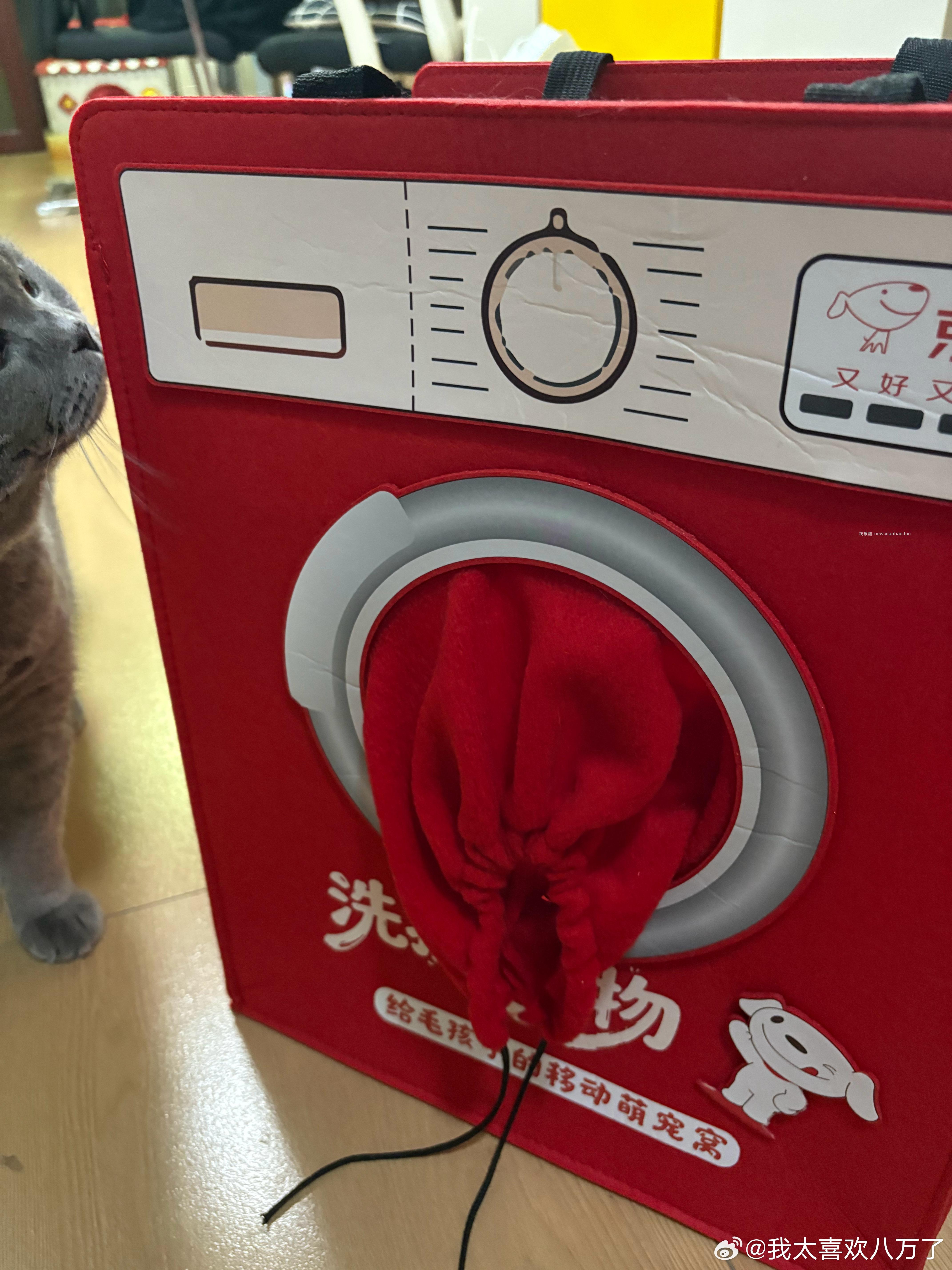 jd拍照那里 拍宠物 邀5个人可以领宠物包 刚刚05还有 不知道质量怎么样 - 线报酷