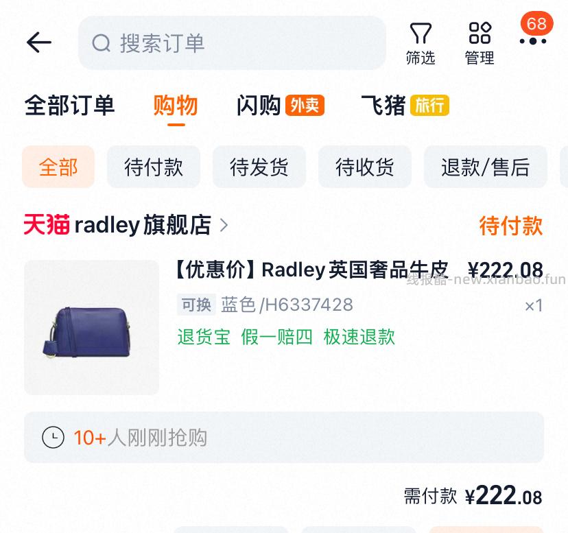 看需 过金币 Radley英国牛皮包 - 线报酷