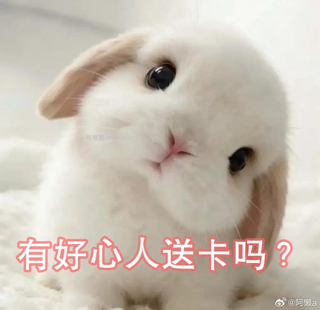 腾讯云包场基本滞销了 记得毕业 1⃣️ 家事法庭 加座 ⏰21:30 看30分钟 - 线报酷 腾讯云包场基本滞销了 记得毕业 1⃣️ 家事法庭 加座 ⏰21:30 看30分钟 - 线报酷